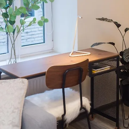 Cozy Place In Old Town * ヴィリニュス